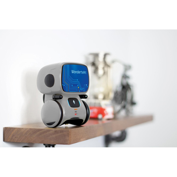 Aaytee&trade; Voice-Activated Robot